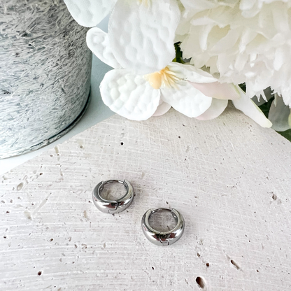 Frosted Mini Earrings